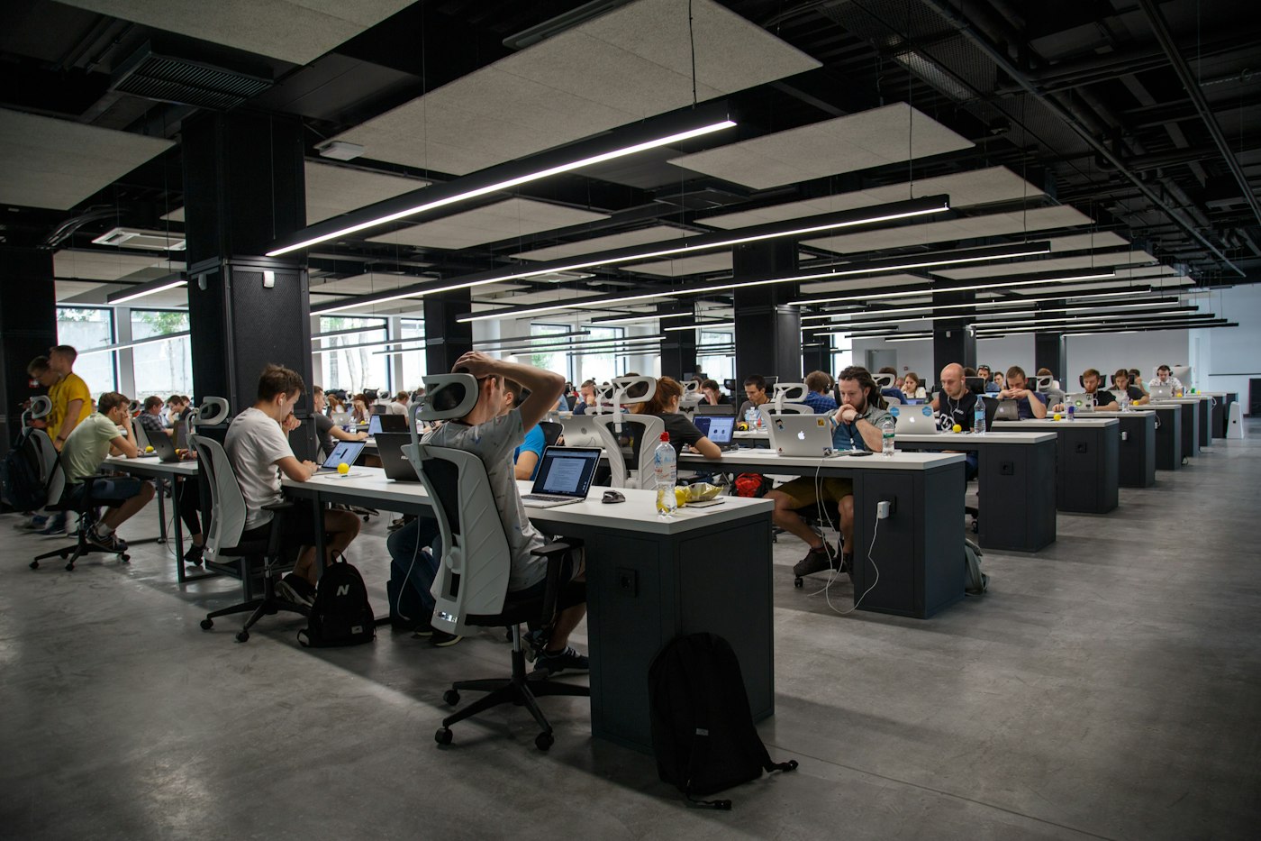 Team working at computers in a modern office